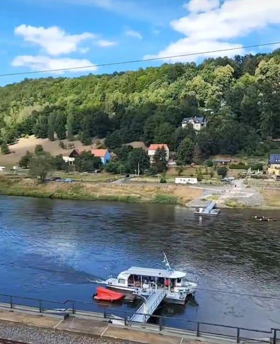 Elbblick Lägenhet Königstein an der Elbe Exteriör bild