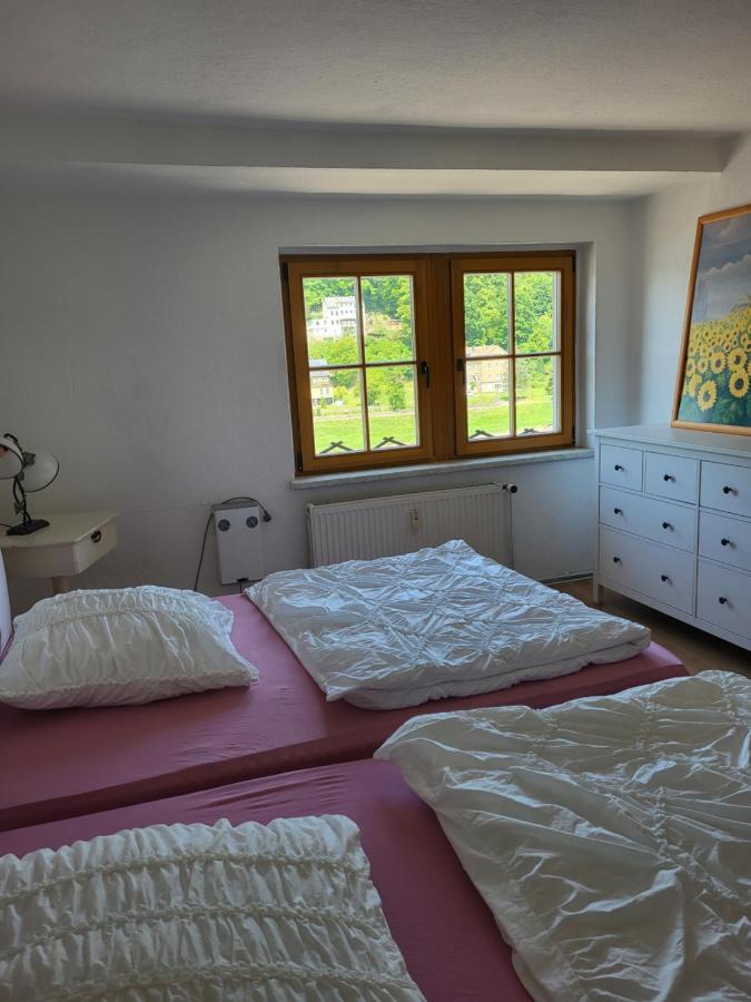 Elbblick Lägenhet Königstein an der Elbe Exteriör bild